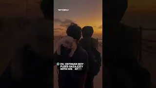 Palestinian boy carries cat while fleeing Gaza City