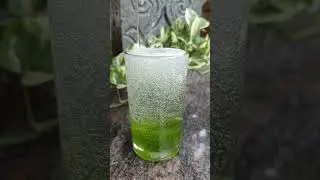 KIWI 🥝 CRUSH Mojito #summer drink #shorts #youtubeshorts