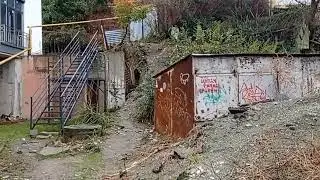 Лесница с Соболевки до Альпийский, Сочи 17.01.26