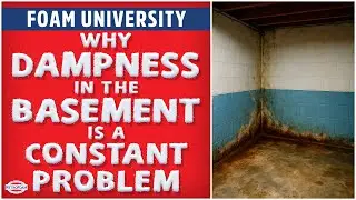 Why Dampness in the Basement is a Constant Problem | Foam University