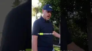 Wait&hellip; He Put His Hand on the Turf Brush 😳 Is That Safe?| TurFresh