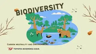 Climate Change and Biodiversity learning