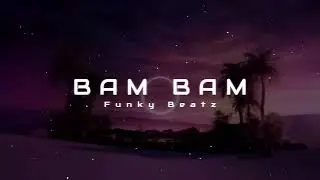 Misha Miller & Alex Velea - BAM BAM (Funky Beatz Bootleg)