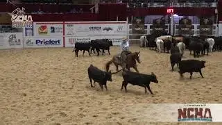 Cade Shepard Wins First NCHA Super Stakes