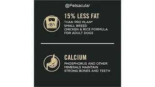 Purina Pro Plan Small Breed Weight Management Dog Food Review: Worth the Price?