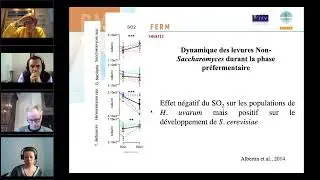 Webinaire Les levures non saccharomyces
