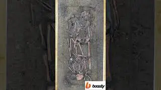 Меч Бронзового века #НовостиАрхеологии 2023 #история #БронзовыйВек