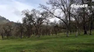 Every Saturday @castateparks leads a hike in #OrovilleCA  This week it was Burma Trail along the div