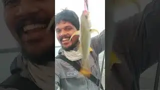 my first yellowfin trevally on jigging...jigs by alwin.