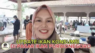 UPDATE HARGA IKAN KONSUMSI DI PASAR IKAN  PURWONEGORO