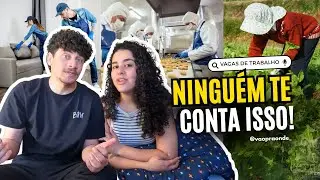 COMO CONSEGUIR TRABALHO NA NOVA ZEL&Acirc;NDIA: SITES, DICAS E EXPERI&Ecirc;NCIA