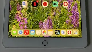iPad 6 (2018) in 2025