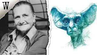 Brazil&rsquo;s Most Disturbing ALIEN ABDUCTION Case