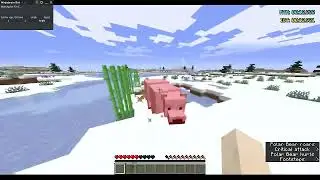 Minecraft Kill Polar Bear WR
