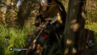 Assassin's Creed Valhalla but the Combat Intensity. 👌