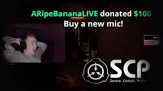 Donating $200+ to SCP SL Streamers!