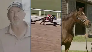 CHATALAS (HIP #199) Journey to the Keeneland November Sale