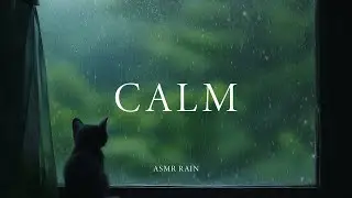ASMR Rain Sounds in a Peaceful Rainy Room | Relaxing Rain Sounds for Sleeping