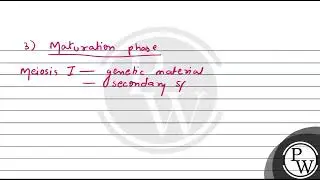166. During which stage of spermatogenesis meiosis occurs? (1) Maturation phase (2) Growth phase....