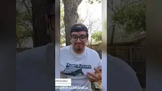 Mauremys Madness! (Turtle Unboxing)