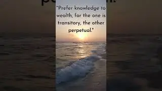 Wisdom from the past quotes to contemplate#quotes#wisdom#history#sages#shorts