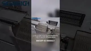 Multi-level Weight Sorting Machine Food Processing Weight Grading Machine