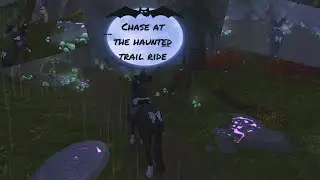 sso Halloween -Chase at Aideens Whisper - Wolf, Bear, Cat and more!! -StarStableOnline