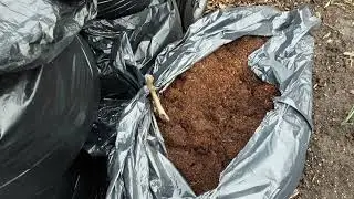 Jobs For March On Our Allotment's 🌻 Seeds To Sow In March  🌻 Cleaning The Fly Tipped Compost