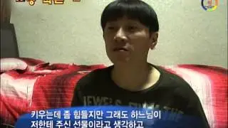 단비, '가장 작은 개' KRI한국기록원 공식 인증