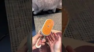 This Genius Spray Brush Makes Cat Grooming EASY (Watch Skeptical Cats Love It!)