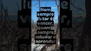 NEM SEMPRE (4) #humor #filosofia #realidade #vida #sociedade #cotidiano  #sabedoria #li&ccedil;&otilde;esdevida