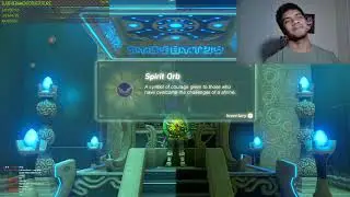 chillin in botw, BOTW stream