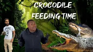 Кормление крокодилов в Великобритании в Crocodiles Of The Word 😎