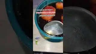 Секретный этап  Стратификация семян