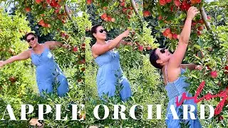 Apple Picking VLOG | Apple Hill Orchard | Morganton NC