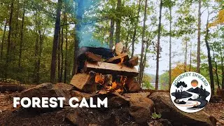 Forest Campfire Sounds | Relaxing Nature Ambience for Sleep & Meditation