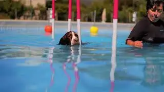 Outdoor sports in Borghetto: sea, energy, and fun for everyone! SPORTIVE ENG 4K