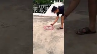 Red bam vs chakri #shorts #diwali #crackers