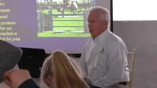 How to Keep the Joints of Your Horse Healthy