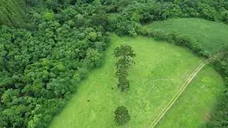 LINHA AZAMBUJA - S&Atilde;O VALENTIM DO SUL - CASA DA NONA 2