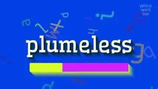 БЕСПЕРЫЙ - КАК ПРОИЗНОШАЕТСЯ БЕСПЕРЫЙ?  #без шлейфа (PLUMELESS - HOW TO PRONOUNCE PLU