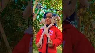 Tu Meri Jaan #bollywood #song #hindisong #bollywoodsongs #love #music #dance #funny #viralmusic #yt