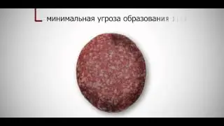 Travaglini | ПРЕЗЕНТАЦИЯ_Russian