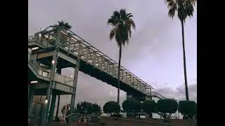 Archives: I missed the train