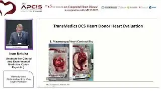 Hemodynamic Optimization & Ex Vivo Organ Perfusion