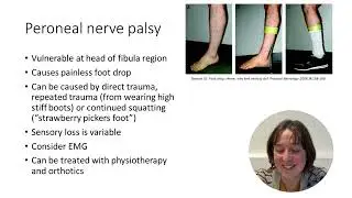 Peripheral Nerve Injuries - MLA Condition Series 21 - Lou Wiblin