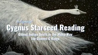 Cygnus Starseed Reading, Oldest Indigo Souls in the Milky Way ICE QUEENS and KINGS 💎 @IndigoAngel
