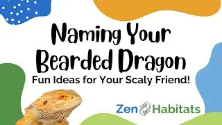 Naming Your Bearded Dragon: Fun Ideas for Your Scaly Friend!
