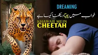 khawab mein cheetah dekhna | cheetah ki tabeer | Tiger Meaning in Dream