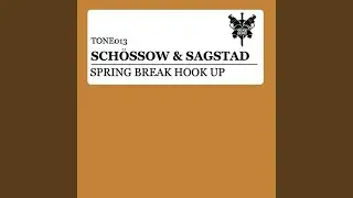 Spring Break Hook Up (Benny Royal & Ralvero Remix)